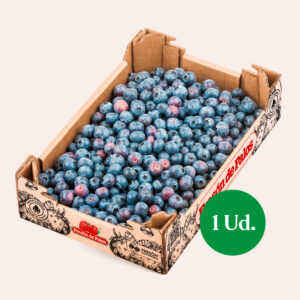 Arándanos: 1 kg