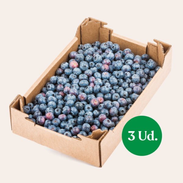 Arándanos: 3 kg - Imagen 2