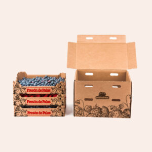 Pack: 1 kg fresas + 2 kg arándanos